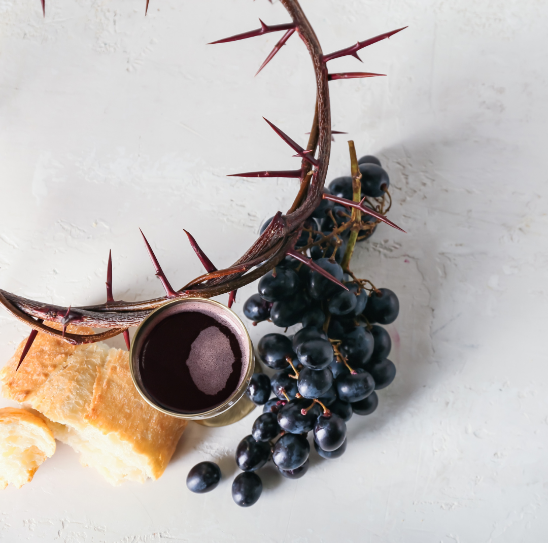 Diseño sin título (11)