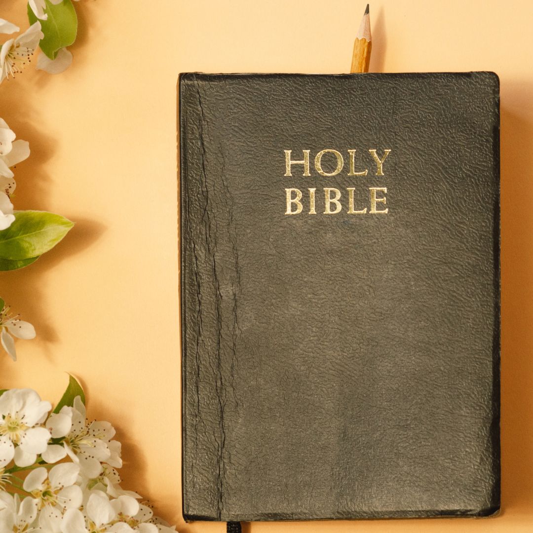 Diseño sin título (23)