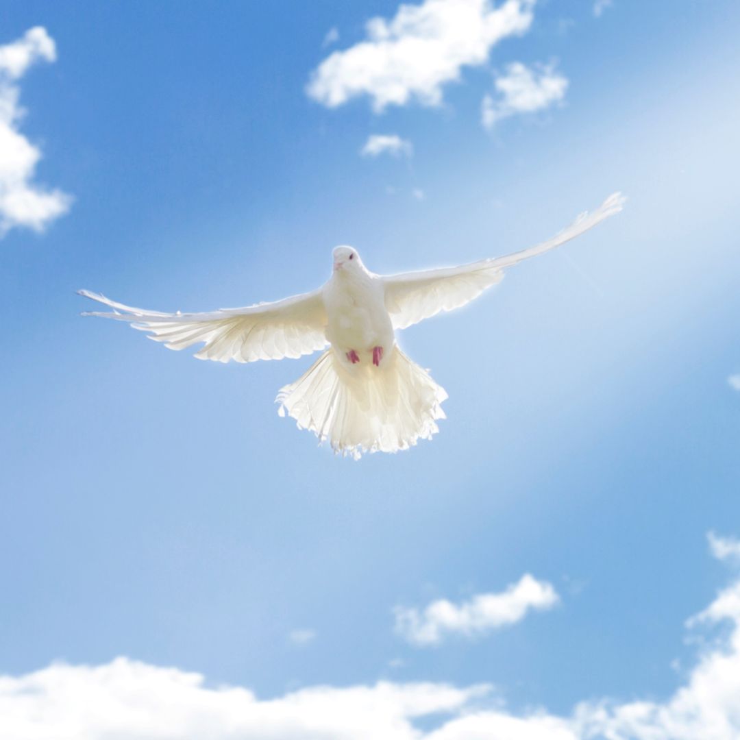 Diseño sin título (24)