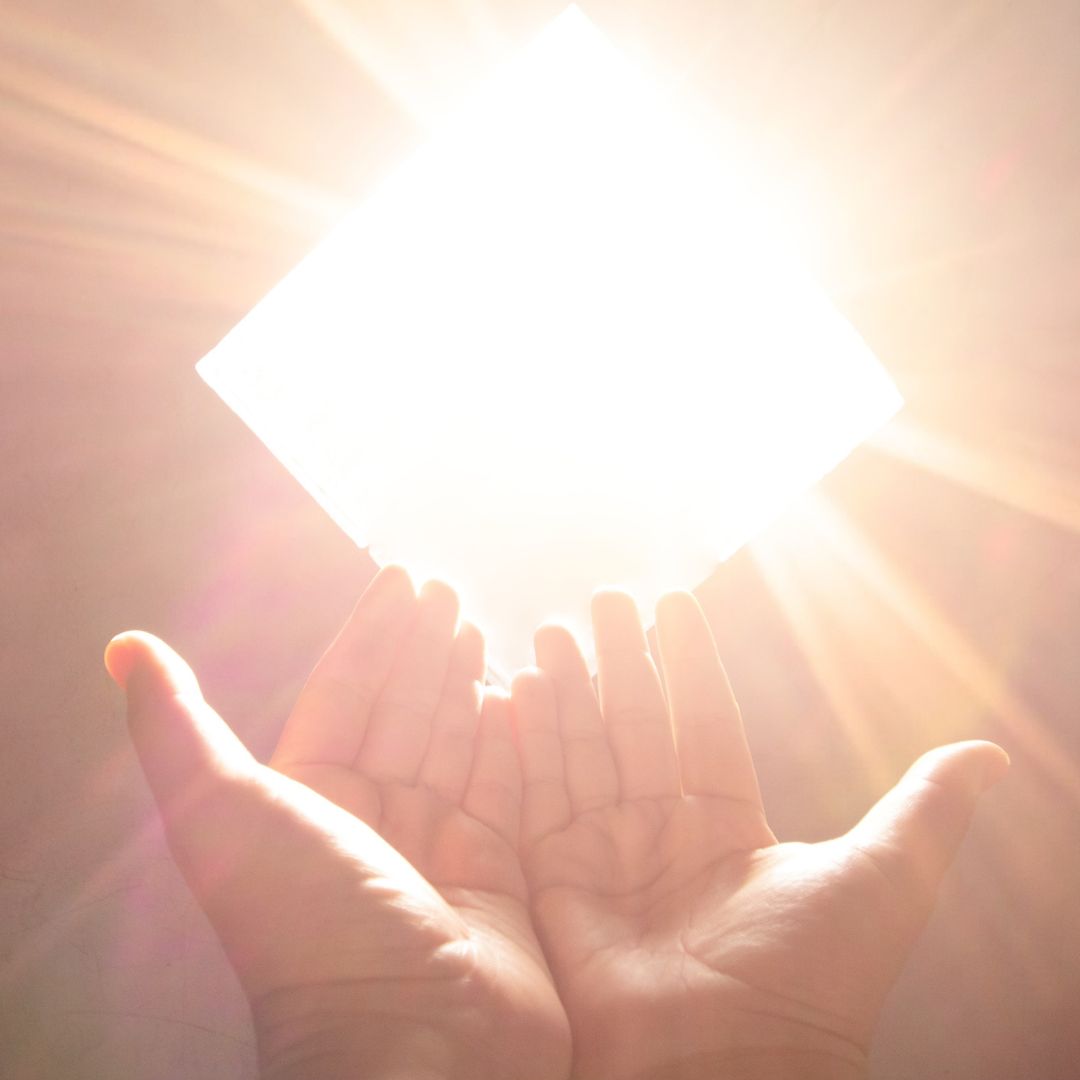 Diseño sin título (25)