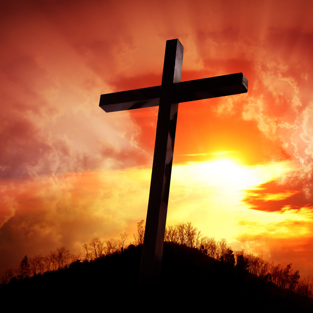 Diseño sin título (8)