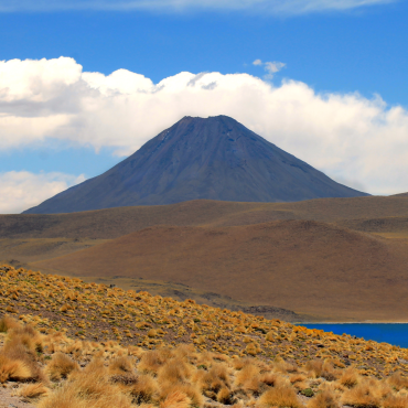 Diseño sin título (3)